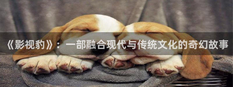 白云视频安装：《影视豹》：一部融合现代与传统文化的奇幻故事