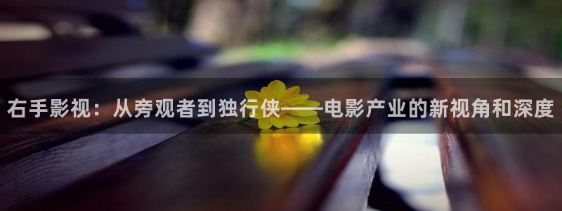 白云视频最新版本：右手影视：从旁观者到独行侠——电影产业的新视角和深度