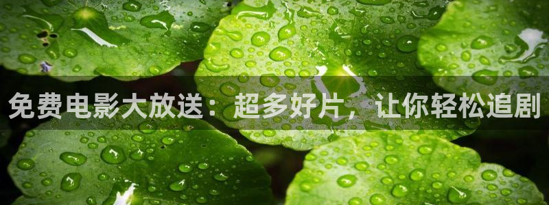 白云影视：免费电影大放送：超多好片，让你轻松追剧