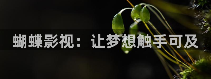 白云视频免费看剧：蝴蝶影视：让梦想触手可及
