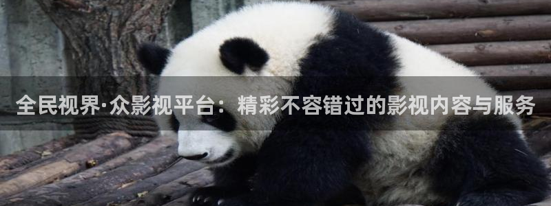 白云视频2025：全民视界·众影视平台：精彩不容错过的影视内容与服务