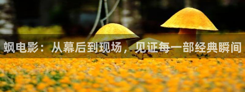 白云视频电视版怎么下载